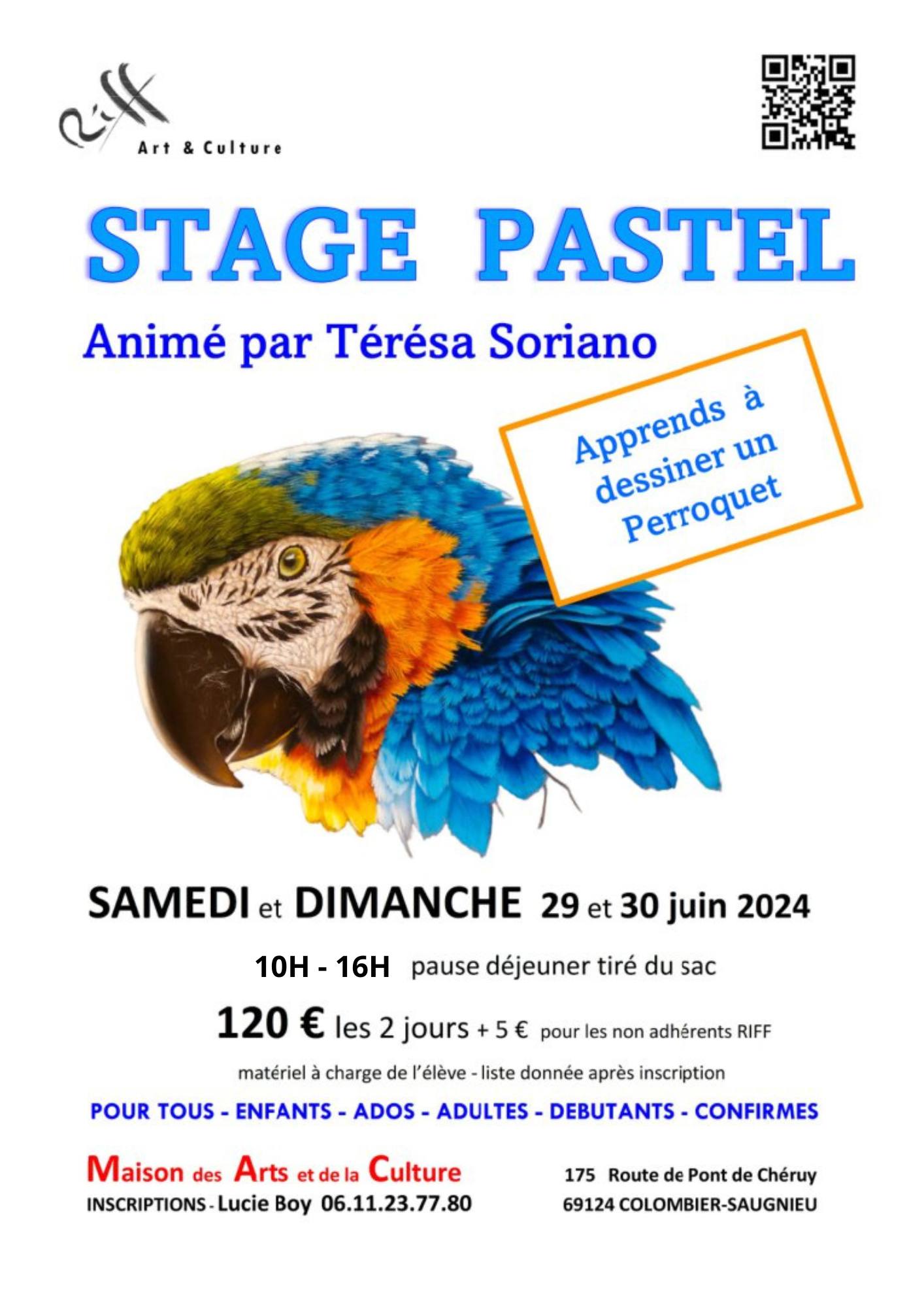 Affiche du stage de Pastel sur le dessin d'un perroquet par RIFF samedi 29 et dimanche 30 juin